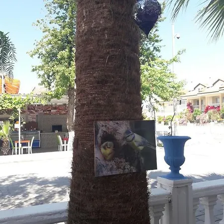 Otel Hera Beach Hotel Gcr *